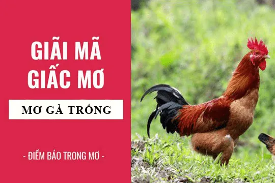 giai-ma-giac-mo-thay-ga-trong-min_11zon